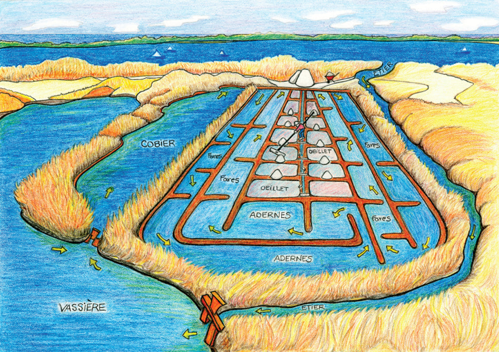 QUY TRÌNH SẢN XUẤT MUỐI BIỂN SAHU