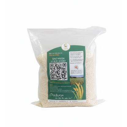 GẠO TÀU HƯƠNG - LÚA MÙA TƯ VIỆT