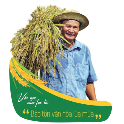 GẠO THƠM TV 1 - LÚA MÙA TƯ VIỆT