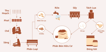 Hạt điều tươi tách vỏ lụa - Noom